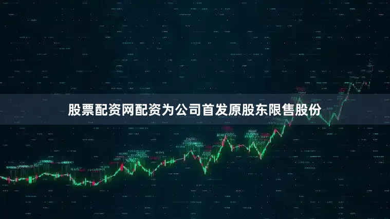 股票配资网配资为公司首发原股东限售股份