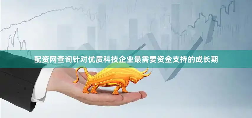 配资网查询针对优质科技企业最需要资金支持的成长期