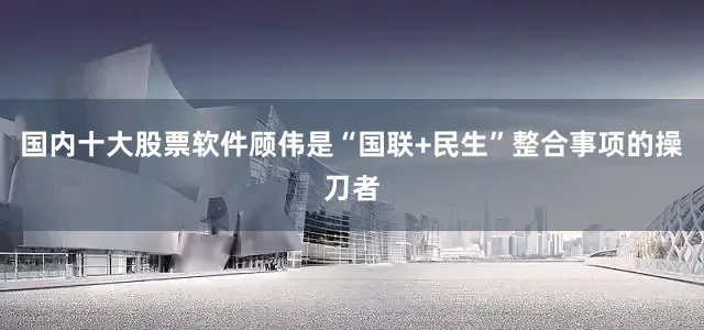国内十大股票软件顾伟是“国联+民生”整合事项的操刀者