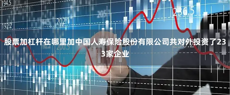 股票加杠杆在哪里加中国人寿保险股份有限公司共对外投资了233家企业