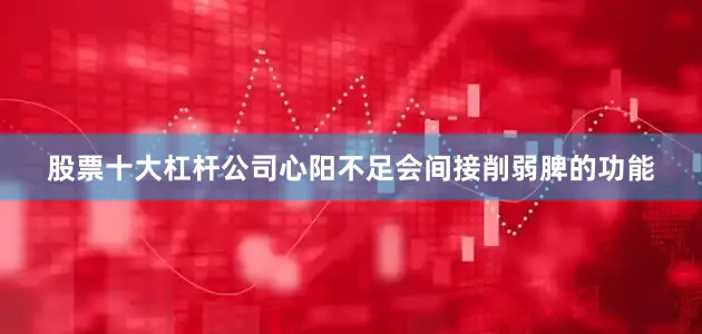 股票十大杠杆公司心阳不足会间接削弱脾的功能