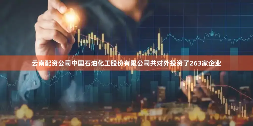 云南配资公司中国石油化工股份有限公司共对外投资了263家企业
