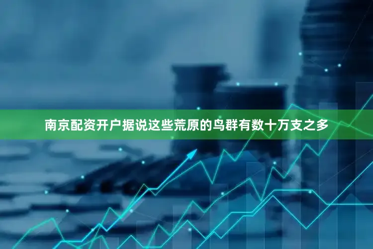 南京配资开户据说这些荒原的鸟群有数十万支之多